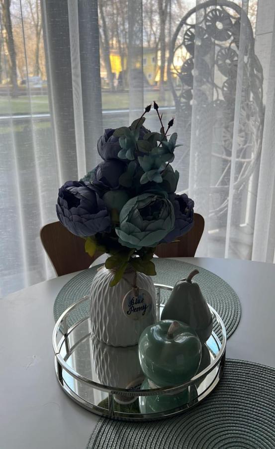 Appartamento Blue Peony Druskininkai Esterno foto